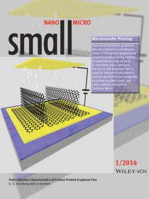 SmallFront.gif